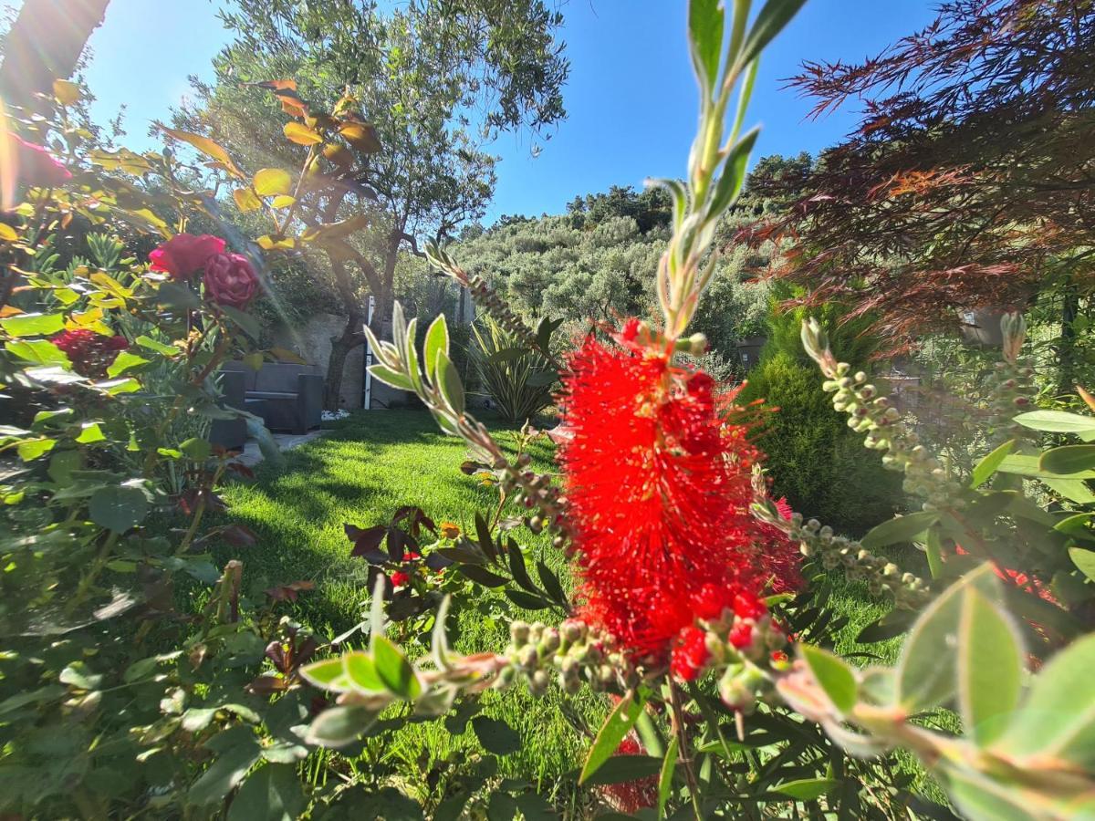 The Garden Villa Volastra Exterior foto